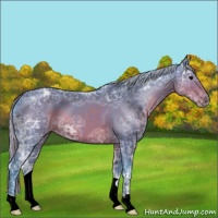 Horse Color:Watercolor Silver Brown Ice