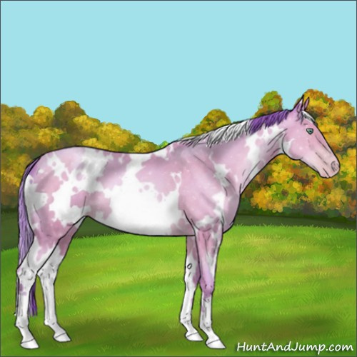 Horse Color:Watercolor White Spotted Sable Champagne Pearl 