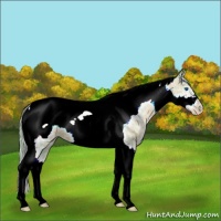 Horse Color:Watercolor White Spotted Liver Chestnut Ice Pearl Tobiano Frame 