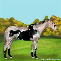 Horse Color:White Spotted Brown Ice Pearl Frame