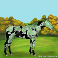 Horse Color:Watercolor White Spotted Black Ice 