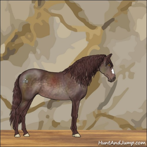 Horse Color:Platinum Chocolate Brown 