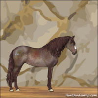Horse Color:Platinum Chocolate Brown 