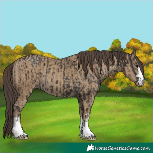 Horse Color:Smoky Black  and Classic Cream Champagne 