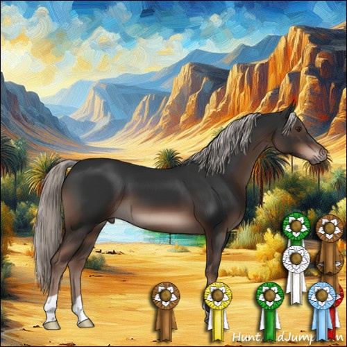 Horse Color:Liver Chestnut Mushroom 