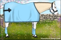 Horse Color:Buckskin Dun Splash Appaloosa 