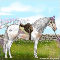 Horse Color:White Spotted Silver Brown Dun Tobiano Appaloosa Rabicano 