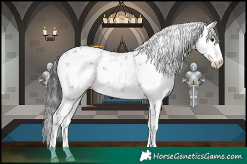 Horse Color:Black Ice Sabino 
