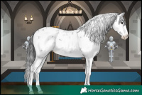 Horse Color:Black Ice Sabino 
