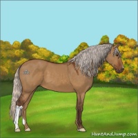 Horse Color:Silver Buckskin Dun 