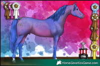 Horse Color:Watercolor Bay 