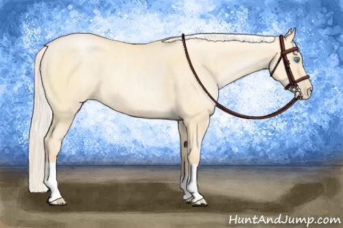 Horse Color:Silver Smoky Grullo Pearl