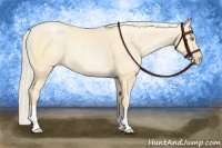 Horse Color:Silver Smoky Grullo Pearl