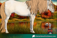 Horse Color:White Spotted Buckskin Pearl Dun 