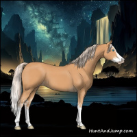 Horse Color:Gray Cremello Splash  and Gray Cremello Splash 