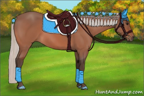 Horse Color:Silver Bay 