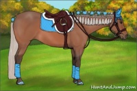 Horse Color:Silver Bay 