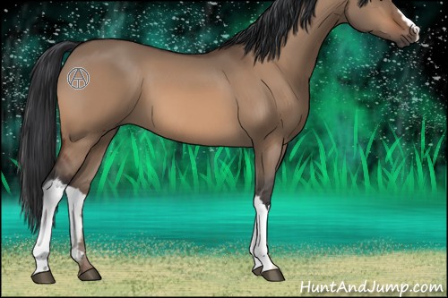 Horse Color:Bay Dun