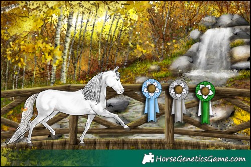 Horse Color:White Spotted Gold Cream Champagne 