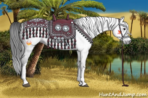 Horse Color:Gray White Spotted Black 