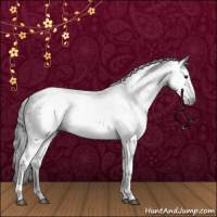 Horse Color:Gray White Spotted Brown 