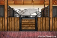 Horse Color:Grullo Appaloosa 