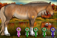 Horse Color:Chocolate Palomino Roan Mushroom Rabicano