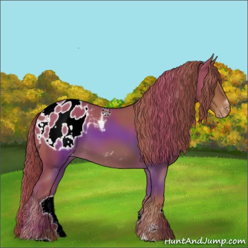 Horse Color:Chestnut Sabino Blanket Rabicano