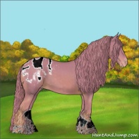 Horse Color:Watercolor Chestnut Tobiano Appaloosa 