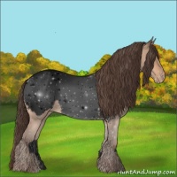 Horse Color:Void White Spotted Amber Champagne Sabino Appaloosa 