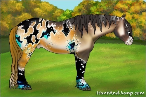 Horse Color:White Spotted Liver Red Onyx Splash Tobiano Appaloosa 