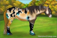 Horse Color:White Spotted Liver Red Onyx Splash Tobiano Appaloosa 