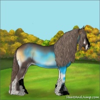 Horse Color:Void Chocolate Palomino Onyx Sabino Appaloosa Rabicano