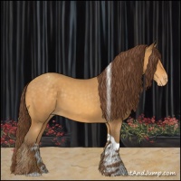 Horse Color:Sable Cream Champagne Tobiano Appaloosa 