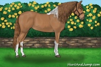 Horse Color:Chestnut Tobiano