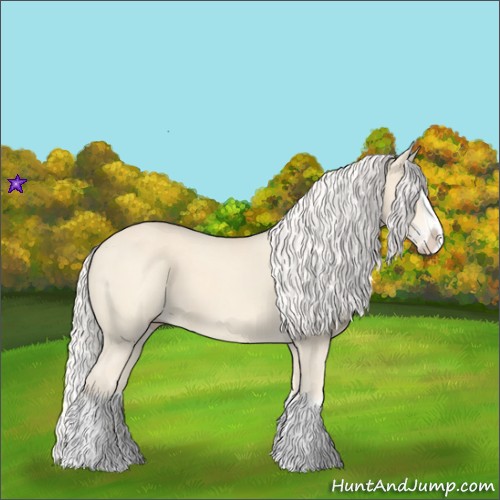 Horse Color:Cremello Splash  and Cremello Splash 