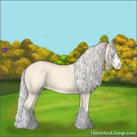 Horse Color:Cremello Splash  and Cremello Splash 