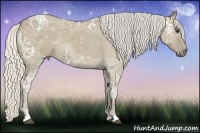 Horse Color:Silver Smoky Grullo Ice