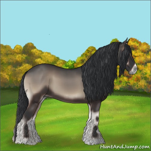 Horse Color:Blue Onyx 