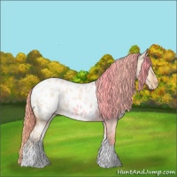 Horse Color:Gold Champagne Ice Dun Tobiano Blanket 