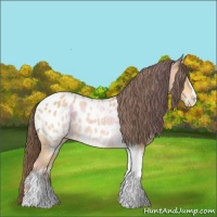 Horse Color:Amber Champagne Ice Tobiano Near Leopard 