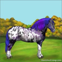 Horse Color:Watercolor Bay Ice Onyx Tobiano Appaloosa