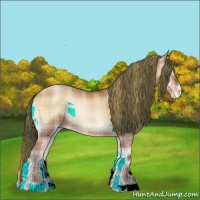 Horse Color:Plaid  Brown Pearl Onyx 