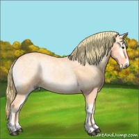 Horse Color:Watercolor Red Onyx Ice