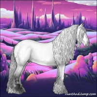 Horse Color:Gray Liver Chestnut Tobiano Appaloosa