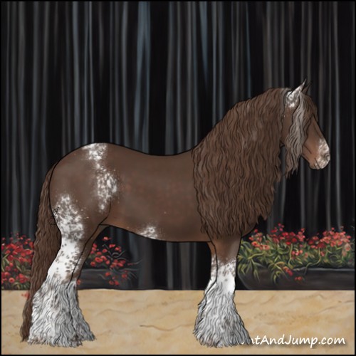Horse Color:White Spotted Liver Chestnut 