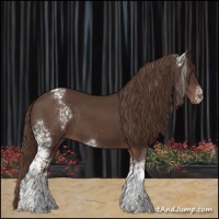 Horse Color:White Spotted Liver Chestnut 
