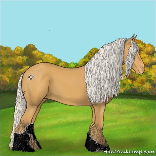 Horse Color:Silver Buckskin Tobiano Appaloosa