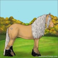Horse Color:Silver Buckskin Tobiano Varnish 