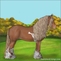 Horse Color:Chestnut Tobiano Appaloosa 